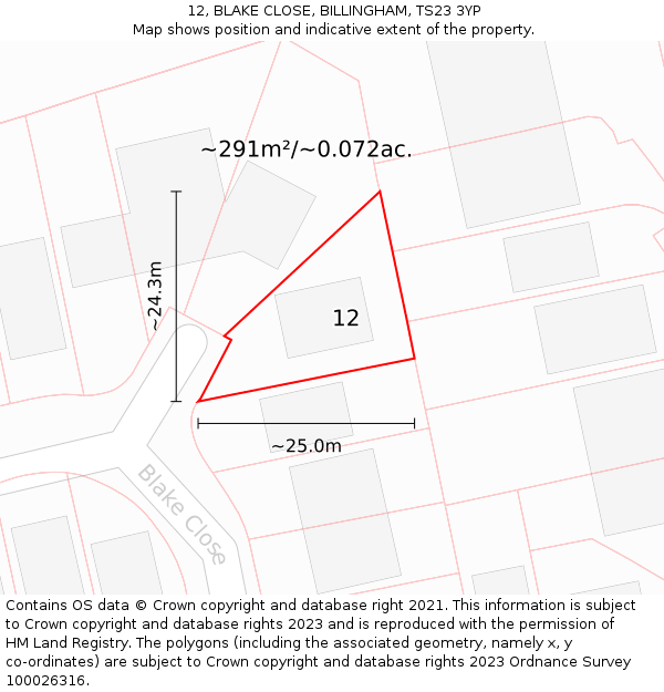 12, BLAKE CLOSE, BILLINGHAM, TS23 3YP: Plot and title map