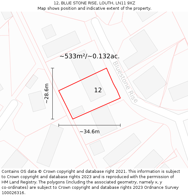 12, BLUE STONE RISE, LOUTH, LN11 9XZ: Plot and title map