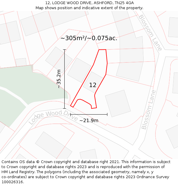 12, LODGE WOOD DRIVE, ASHFORD, TN25 4GA: Plot and title map