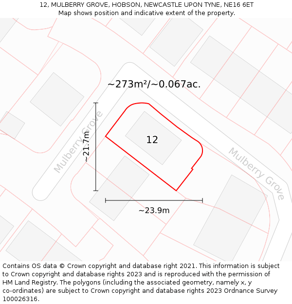 12, MULBERRY GROVE, HOBSON, NEWCASTLE UPON TYNE, NE16 6ET: Plot and title map