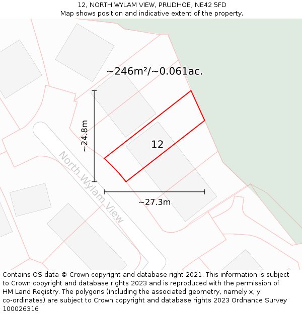 12, NORTH WYLAM VIEW, PRUDHOE, NE42 5FD: Plot and title map