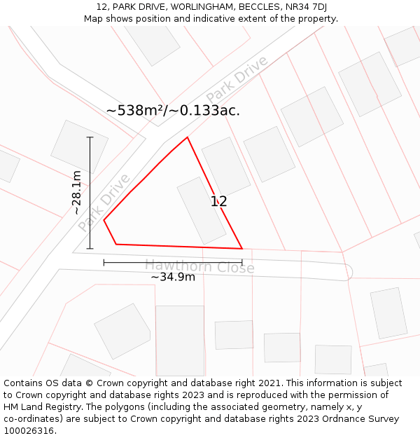 12, PARK DRIVE, WORLINGHAM, BECCLES, NR34 7DJ: Plot and title map