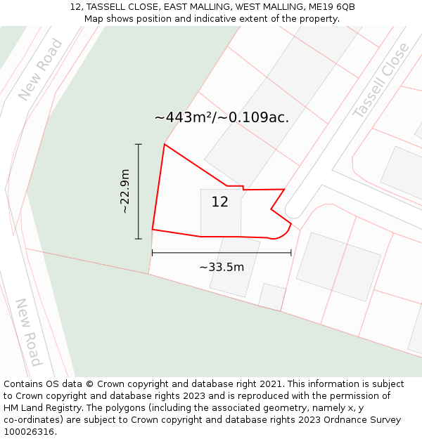 12, TASSELL CLOSE, EAST MALLING, WEST MALLING, ME19 6QB: Plot and title map