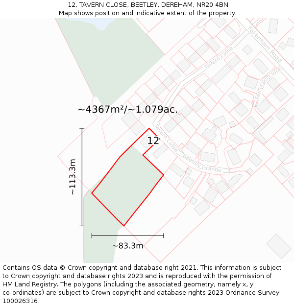 12, TAVERN CLOSE, BEETLEY, DEREHAM, NR20 4BN: Plot and title map