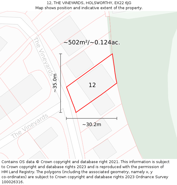 12, THE VINEYARDS, HOLSWORTHY, EX22 6JG: Plot and title map