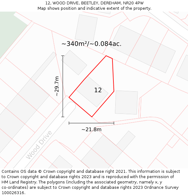 12, WOOD DRIVE, BEETLEY, DEREHAM, NR20 4PW: Plot and title map