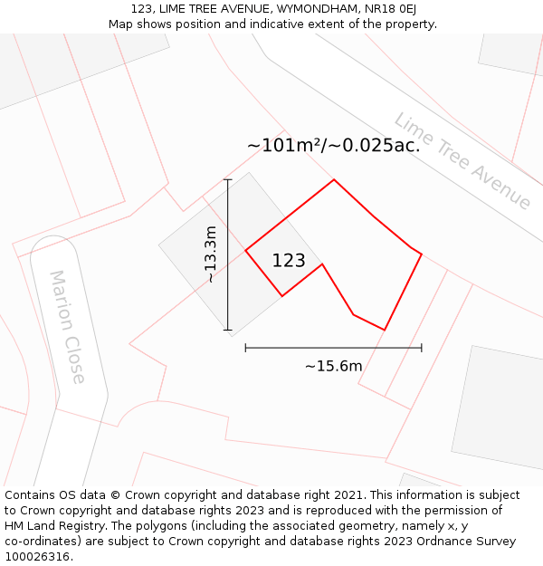 123, LIME TREE AVENUE, WYMONDHAM, NR18 0EJ: Plot and title map