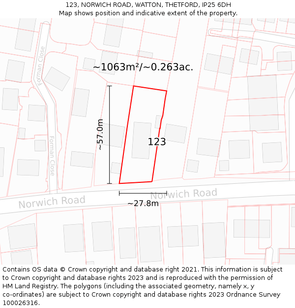 123, NORWICH ROAD, WATTON, THETFORD, IP25 6DH: Plot and title map