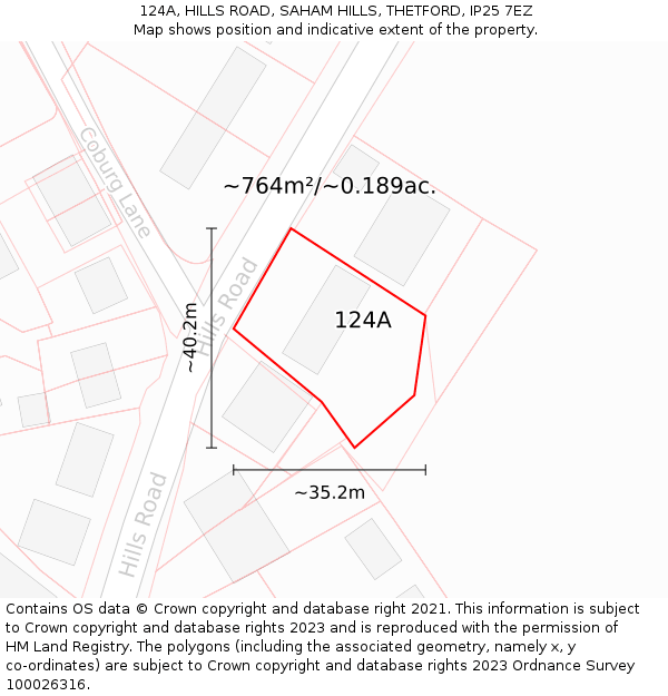 124A, HILLS ROAD, SAHAM HILLS, THETFORD, IP25 7EZ: Plot and title map