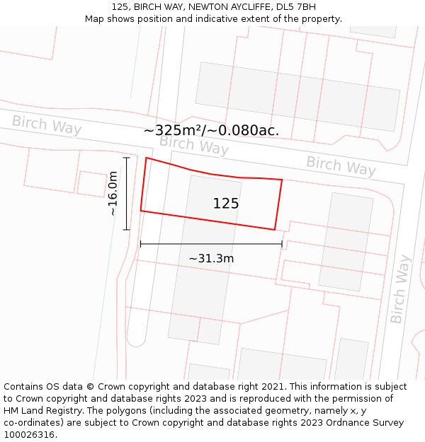 125, BIRCH WAY, NEWTON AYCLIFFE, DL5 7BH: Plot and title map