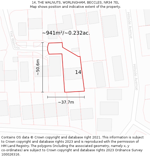 14, THE WALNUTS, WORLINGHAM, BECCLES, NR34 7EL: Plot and title map