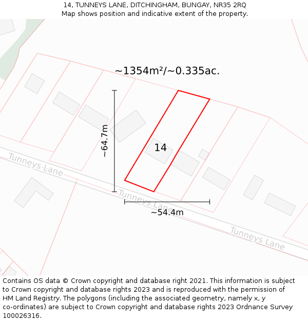 14, TUNNEYS LANE, DITCHINGHAM, BUNGAY, NR35 2RQ: Plot and title map