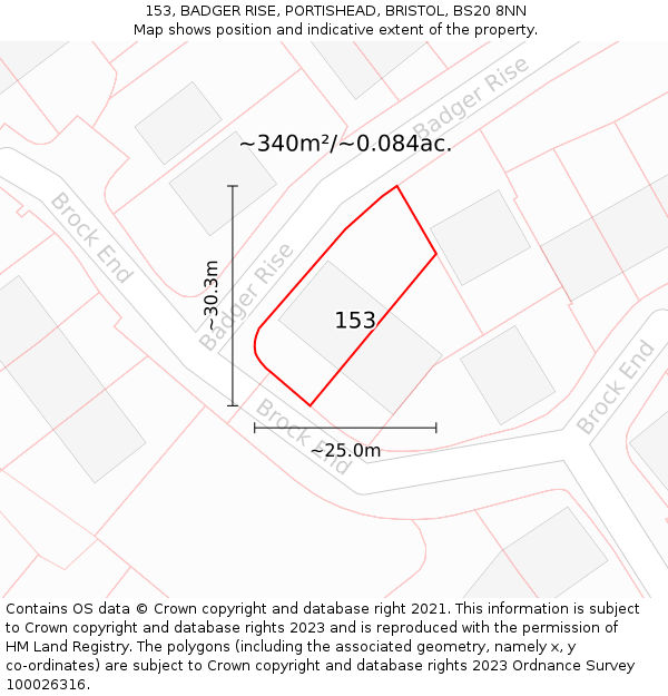 153, BADGER RISE, PORTISHEAD, BRISTOL, BS20 8NN: Plot and title map