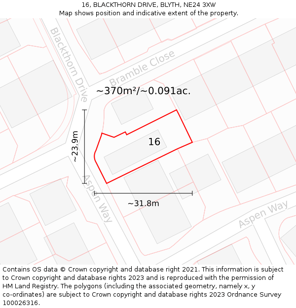 16, BLACKTHORN DRIVE, BLYTH, NE24 3XW: Plot and title map