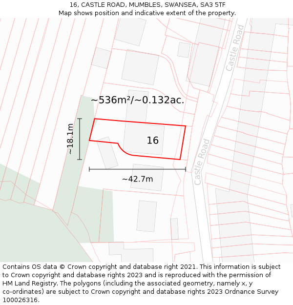 16, CASTLE ROAD, MUMBLES, SWANSEA, SA3 5TF: Plot and title map