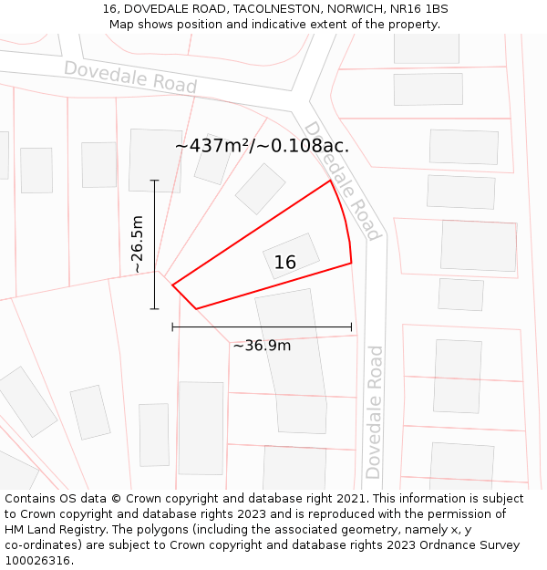 16, DOVEDALE ROAD, TACOLNESTON, NORWICH, NR16 1BS: Plot and title map