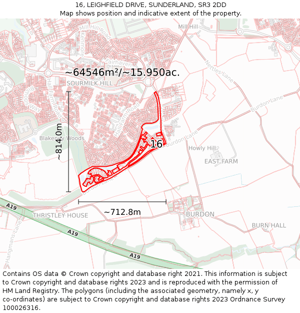 16, LEIGHFIELD DRIVE, SUNDERLAND, SR3 2DD: Plot and title map