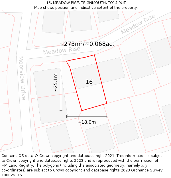 16, MEADOW RISE, TEIGNMOUTH, TQ14 9UT: Plot and title map