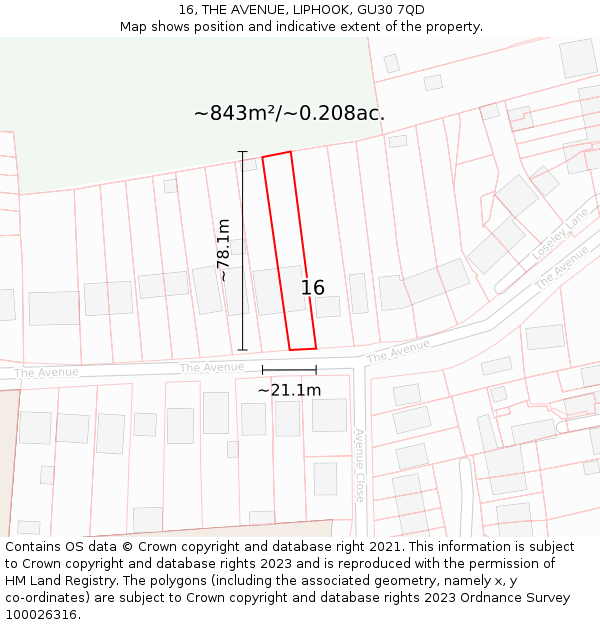 16, THE AVENUE, LIPHOOK, GU30 7QD: Plot and title map