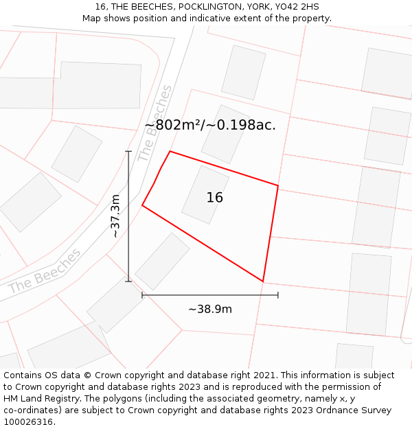 16, THE BEECHES, POCKLINGTON, YORK, YO42 2HS: Plot and title map