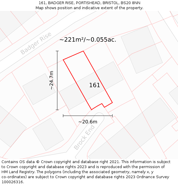 161, BADGER RISE, PORTISHEAD, BRISTOL, BS20 8NN: Plot and title map