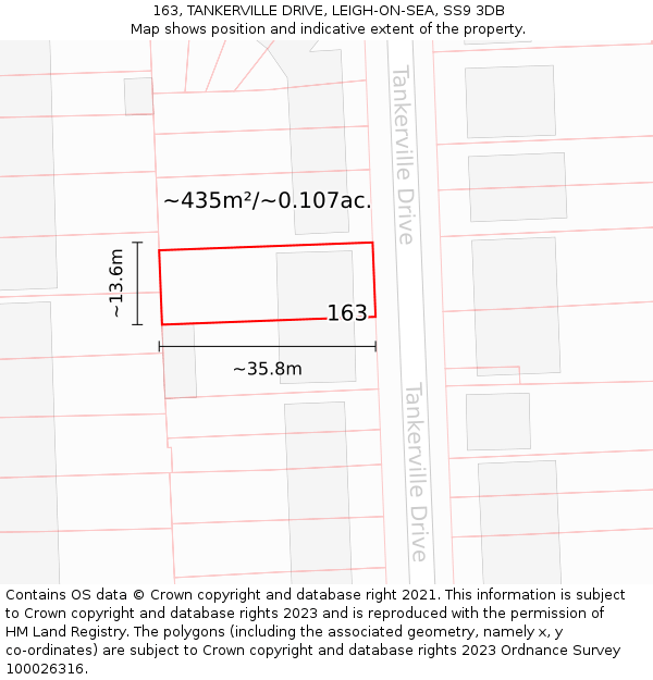 163, TANKERVILLE DRIVE, LEIGH-ON-SEA, SS9 3DB: Plot and title map