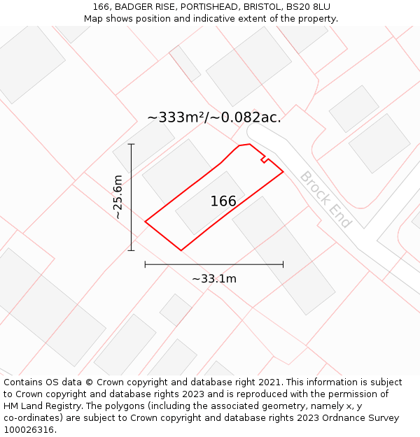 166, BADGER RISE, PORTISHEAD, BRISTOL, BS20 8LU: Plot and title map