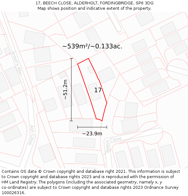 17, BEECH CLOSE, ALDERHOLT, FORDINGBRIDGE, SP6 3DG: Plot and title map