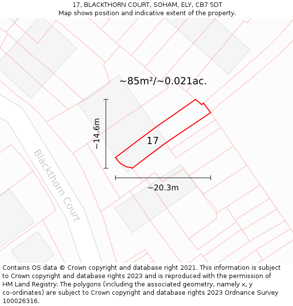 17, BLACKTHORN COURT, SOHAM, ELY, CB7 5DT: Plot and title map