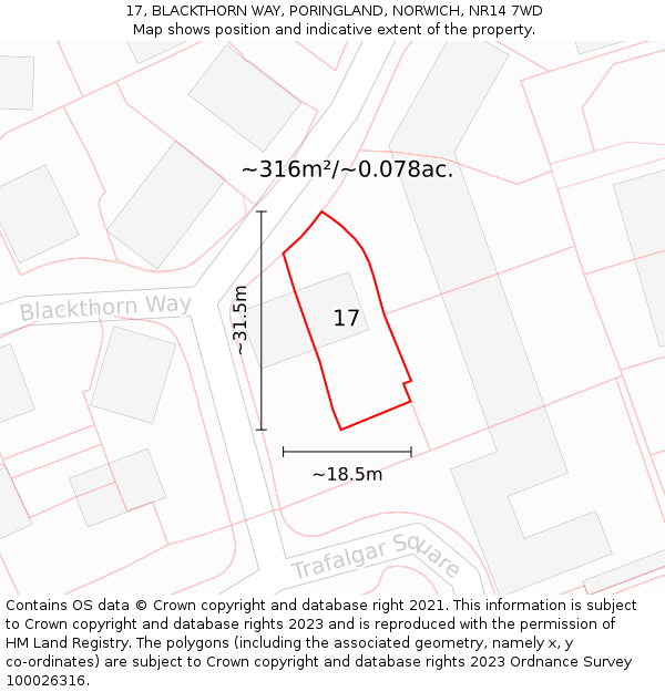 17, BLACKTHORN WAY, PORINGLAND, NORWICH, NR14 7WD: Plot and title map