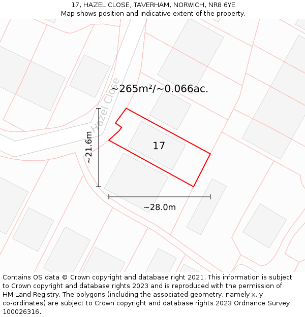 17, HAZEL CLOSE, TAVERHAM, NORWICH, NR8 6YE: Plot and title map