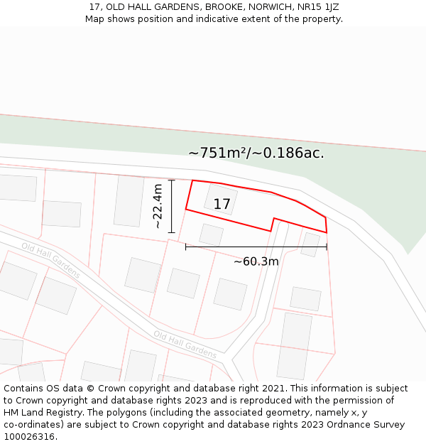 17, OLD HALL GARDENS, BROOKE, NORWICH, NR15 1JZ: Plot and title map