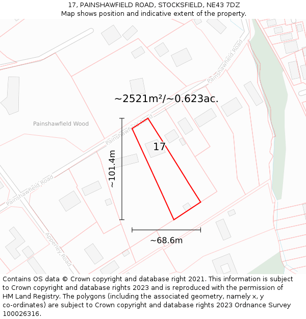 17, PAINSHAWFIELD ROAD, STOCKSFIELD, NE43 7DZ: Plot and title map