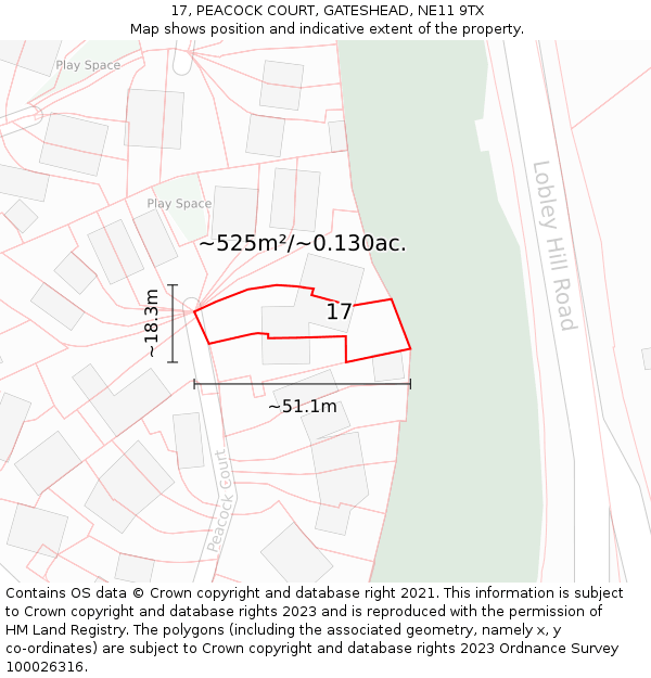 17, PEACOCK COURT, GATESHEAD, NE11 9TX: Plot and title map