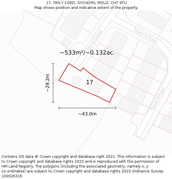 17, TAN Y COED, SYCHDYN, MOLD, CH7 6TU: Plot and title map