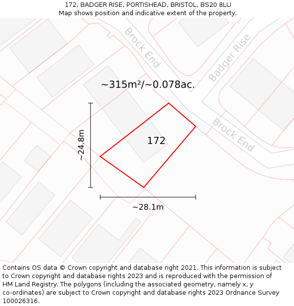 172, BADGER RISE, PORTISHEAD, BRISTOL, BS20 8LU: Plot and title map