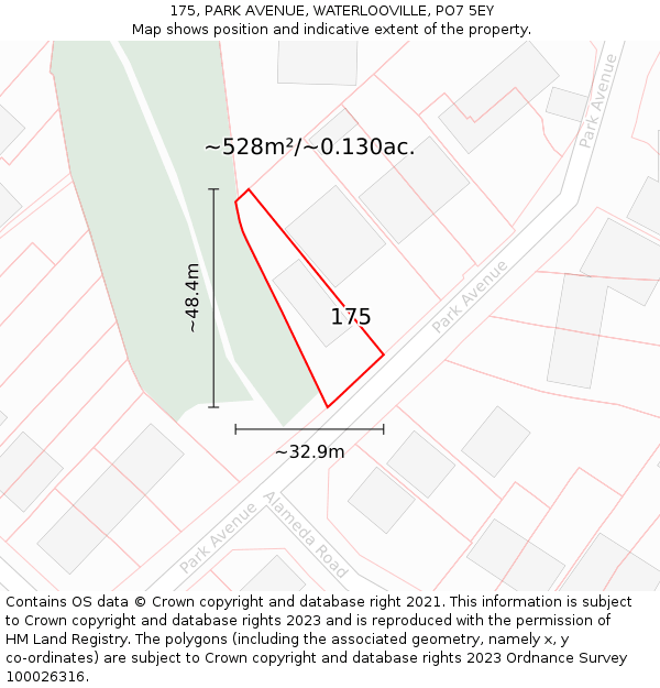 175, PARK AVENUE, WATERLOOVILLE, PO7 5EY: Plot and title map