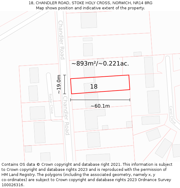 18, CHANDLER ROAD, STOKE HOLY CROSS, NORWICH, NR14 8RG: Plot and title map