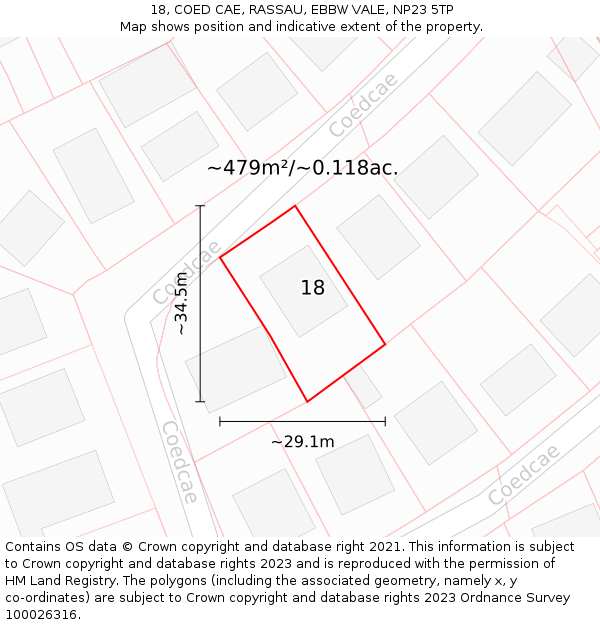18, COED CAE, RASSAU, EBBW VALE, NP23 5TP: Plot and title map