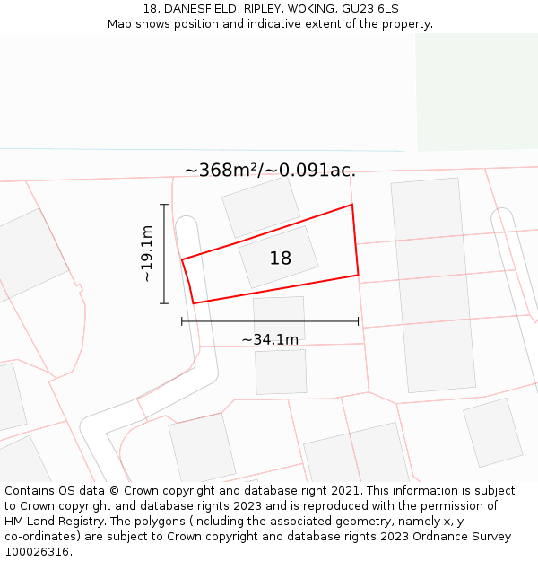 18, DANESFIELD, RIPLEY, WOKING, GU23 6LS: Plot and title map