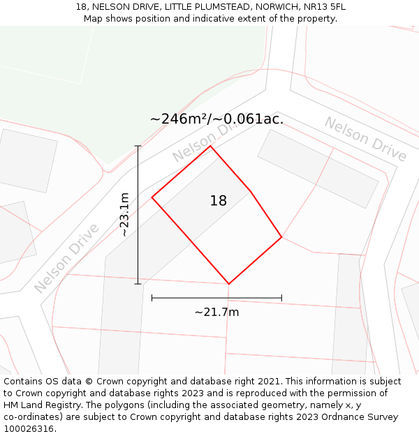 18, NELSON DRIVE, LITTLE PLUMSTEAD, NORWICH, NR13 5FL: Plot and title map