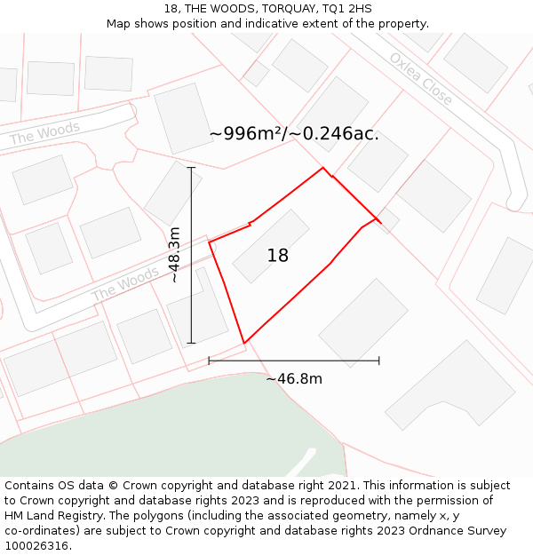 18, THE WOODS, TORQUAY, TQ1 2HS: Plot and title map