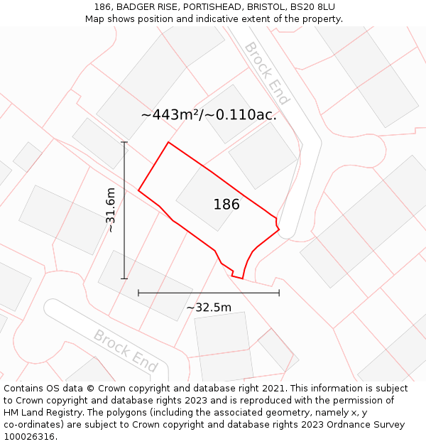 186, BADGER RISE, PORTISHEAD, BRISTOL, BS20 8LU: Plot and title map