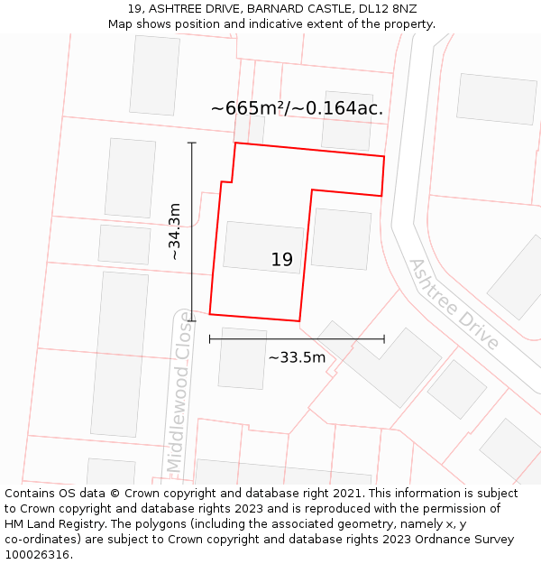 19, ASHTREE DRIVE, BARNARD CASTLE, DL12 8NZ: Plot and title map