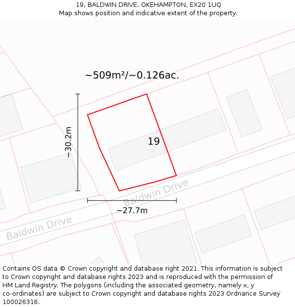 19, BALDWIN DRIVE, OKEHAMPTON, EX20 1UQ: Plot and title map