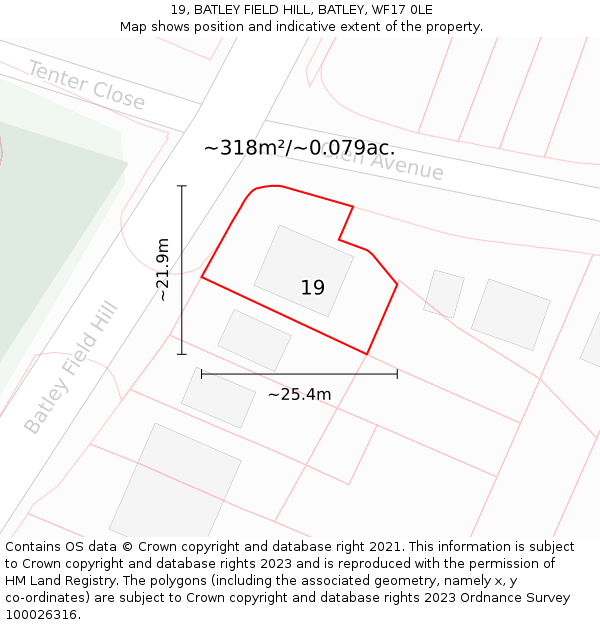 19, BATLEY FIELD HILL, BATLEY, WF17 0LE: Plot and title map