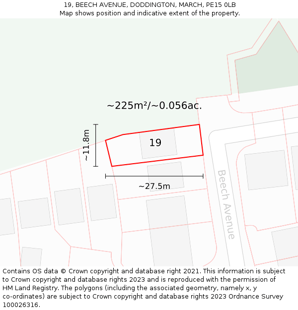 19, BEECH AVENUE, DODDINGTON, MARCH, PE15 0LB: Plot and title map