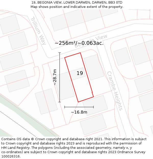 19, BEGONIA VIEW, LOWER DARWEN, DARWEN, BB3 0TD: Plot and title map