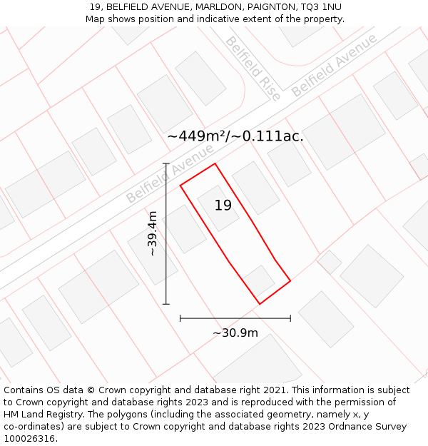 19, BELFIELD AVENUE, MARLDON, PAIGNTON, TQ3 1NU: Plot and title map