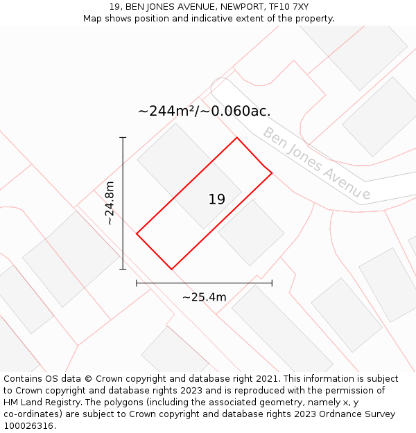 19, BEN JONES AVENUE, NEWPORT, TF10 7XY: Plot and title map